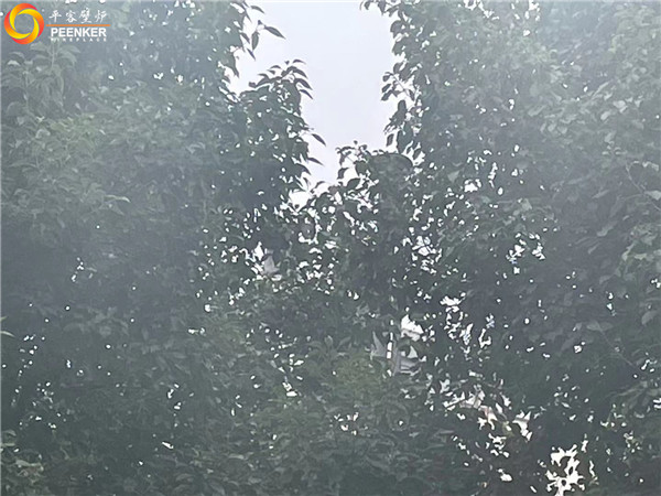 江蘇無(wú)錫中堂院墅丹麥壁爐morso 2140安裝.jpg